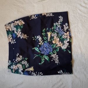 Ann Taylor Petite Skirt